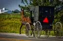 An Amish horse buggy on a country road