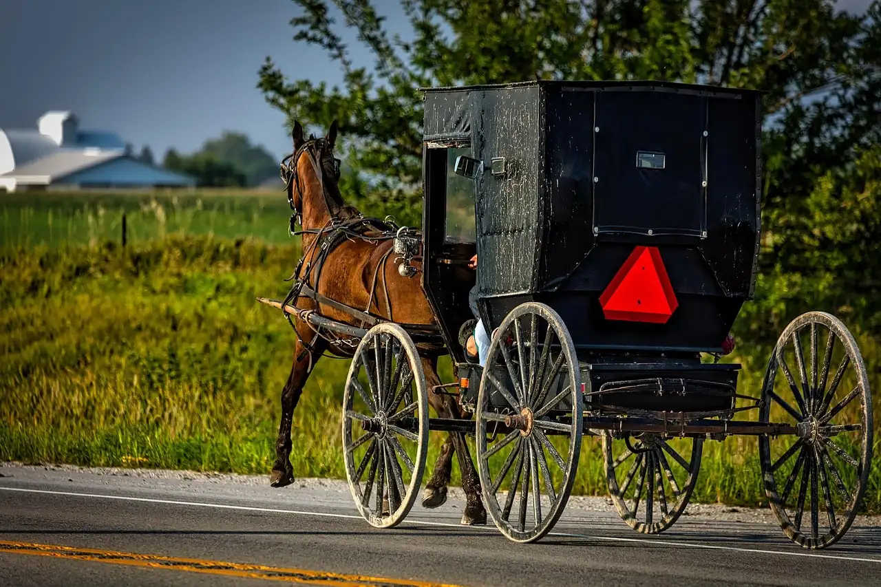 An Amish horse buggy on a country road