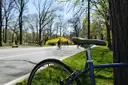 A bicycle on a Central Park drive