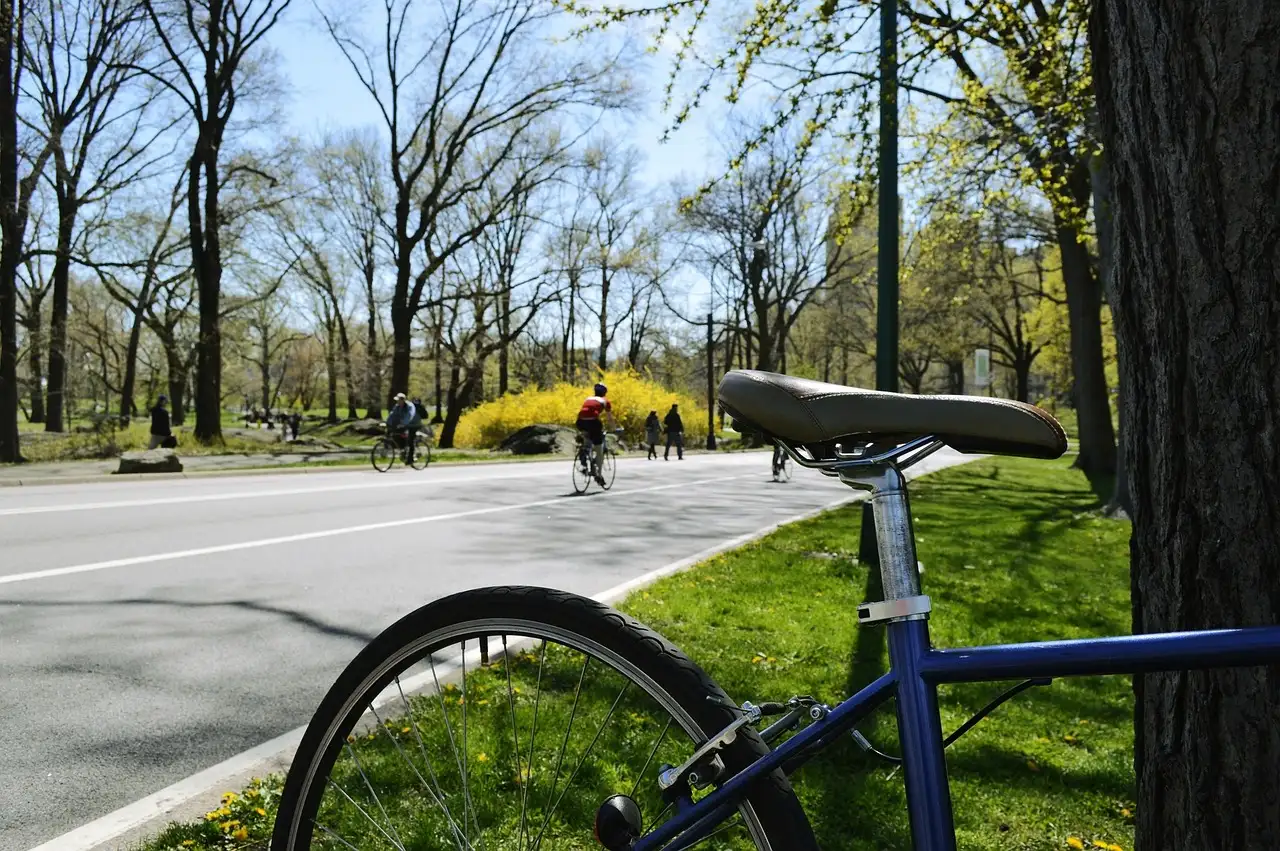 A bicycle on a Central Park drive