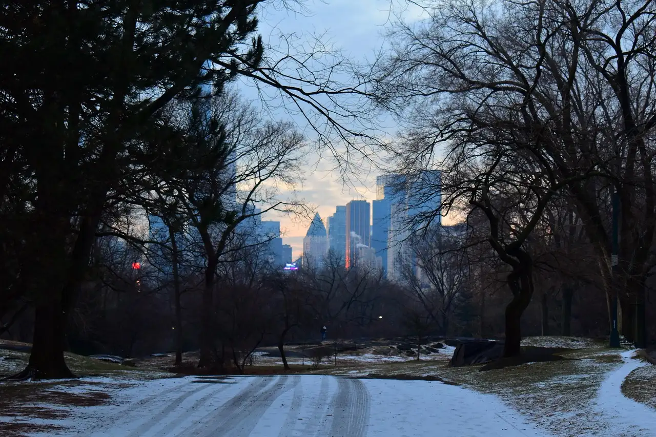 A snowy Central Park drive at dusk, with Midtown towers behind the trees