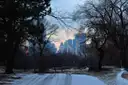 A snowy Central Park drive at dusk, with Midtown towers behind the trees