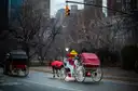 Horse carriages on a Central Park road