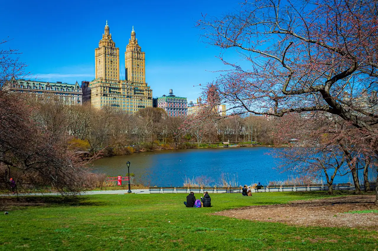 The Central Park lake with the San Remo towers behind the trees