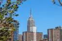 The Empire State Building seen from a street lined with trees