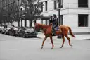 A mounted NYPD officer riding a horse across a quiet Manhattan street