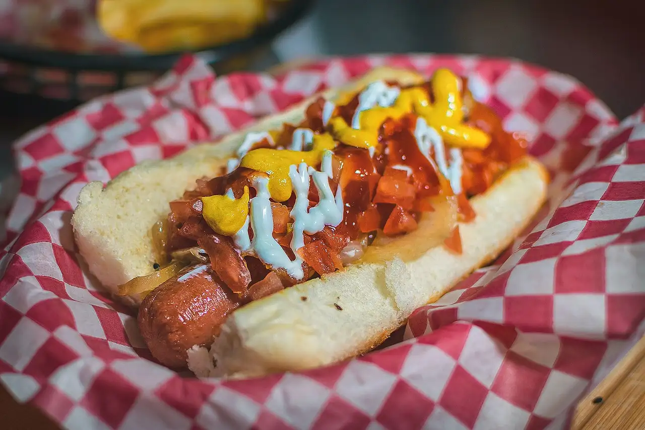 A hot dog loaded with toppings