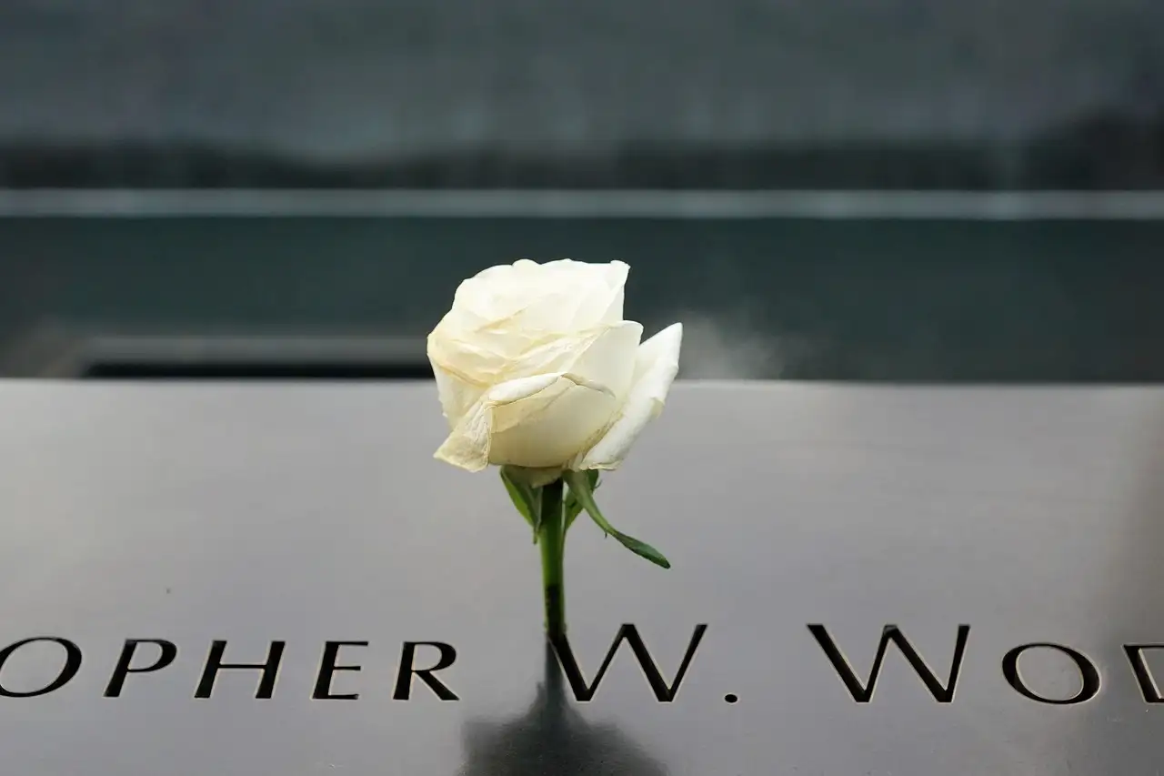 A white rose placed in a name on the bronze panels of the 9/11 Memorial