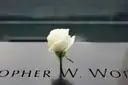A white rose placed in a name on the bronze panels of the 9/11 Memorial