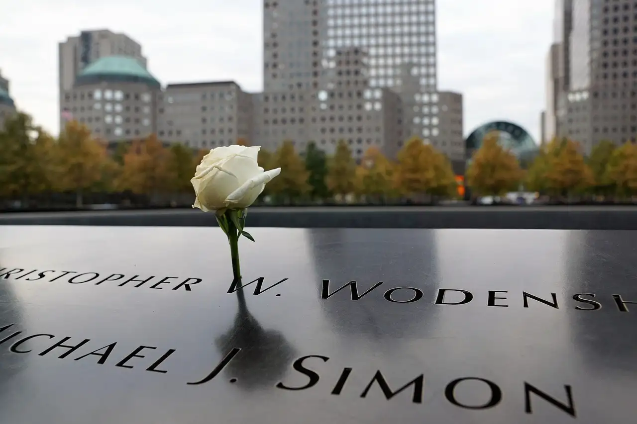 A white rose in a name, with towers behind
