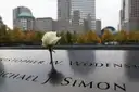 A white rose in a name, with towers behind