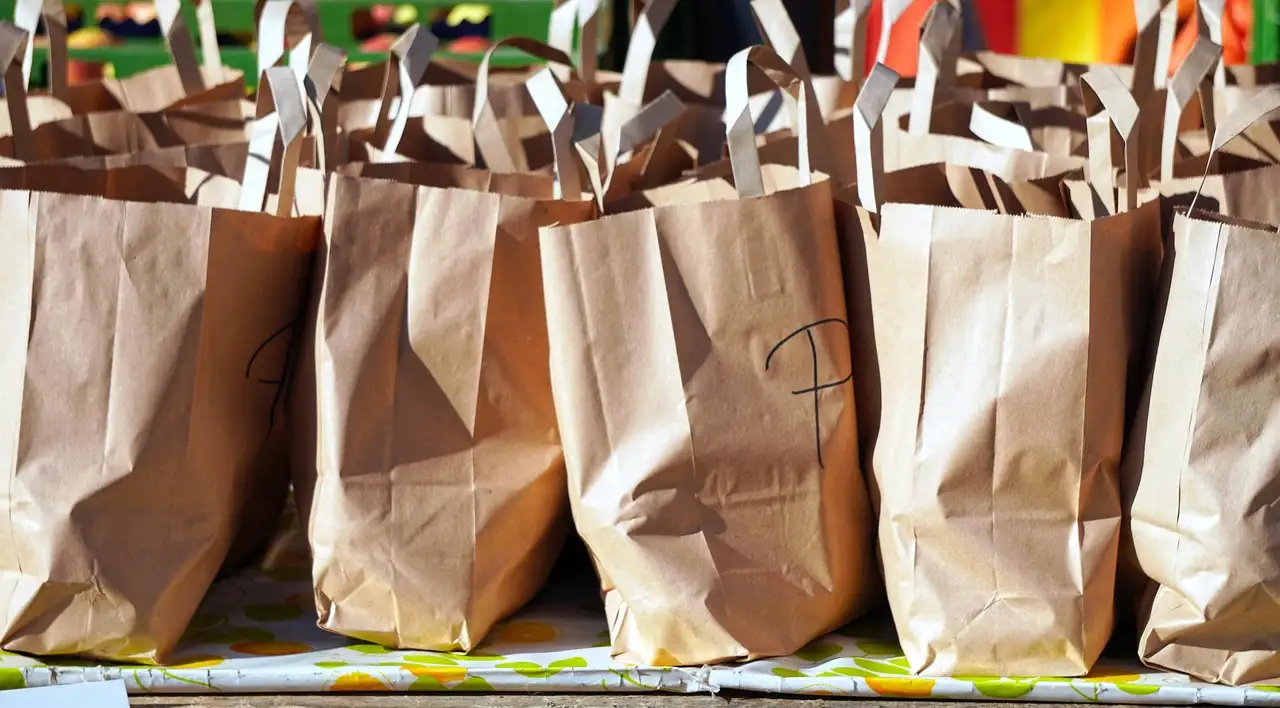 A row of paper shopping bags