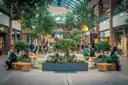 A shopping mall square with trees and benches