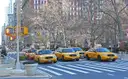 Yellow taxis waiting at a Manhattan crosswalk